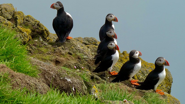 Pembrokeshire Coast National Park