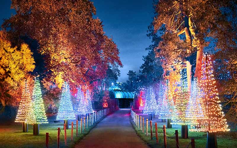 The Kew Gardens New Year