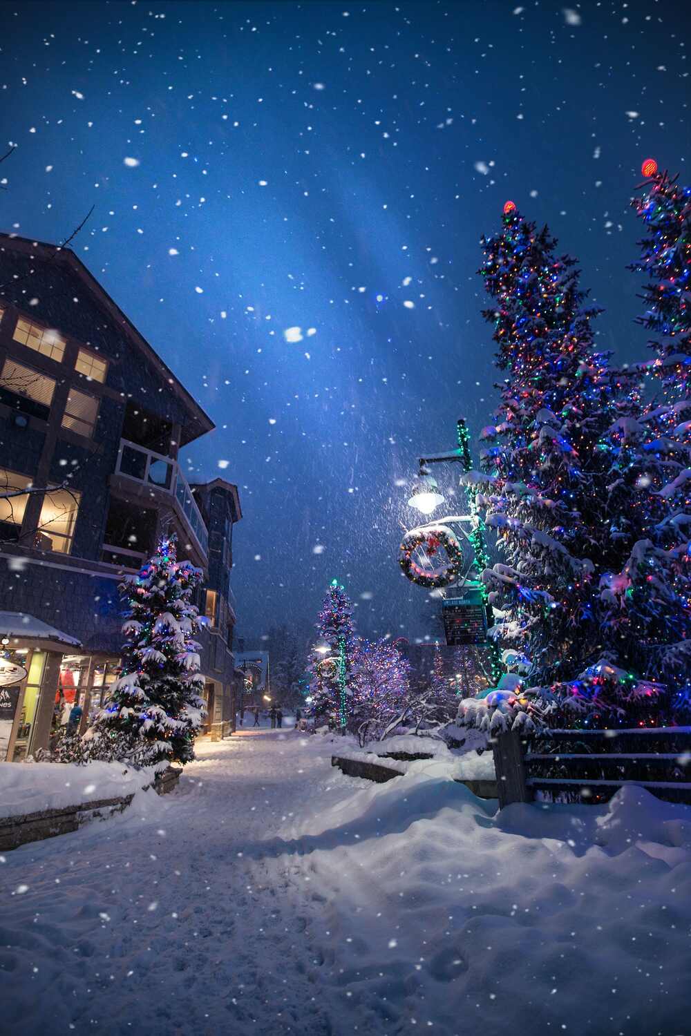 Fun Family Outings and Activities To Do During The Christmas Breaks